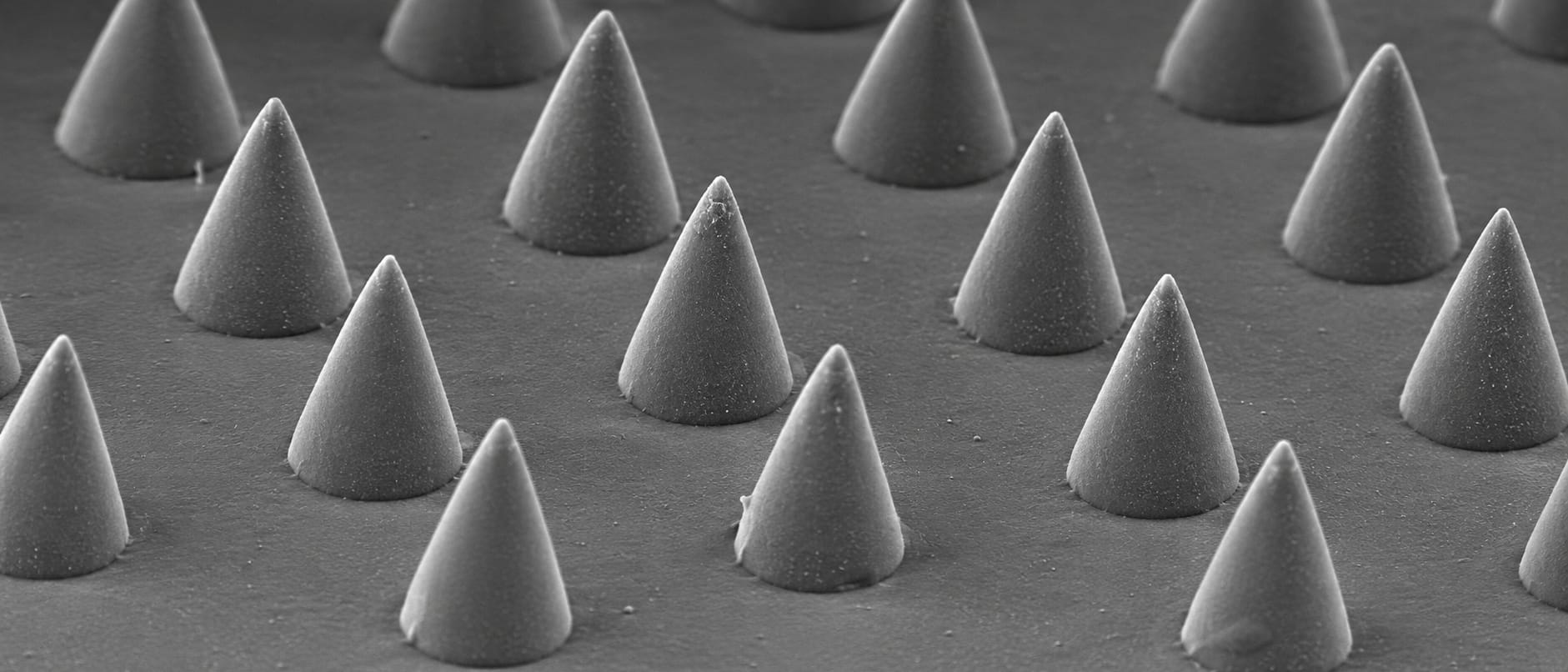 An engineered microneedle array at high magnification