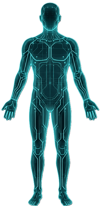 body